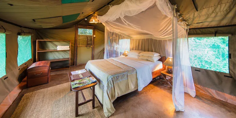 South Luangwa Accommodation | Flatdogs Camp