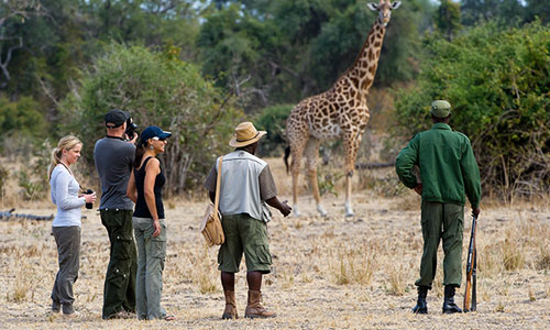 Safaris Gallery Thumbnail